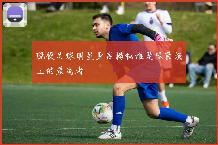 现役足球明星身高揭秘谁是绿茵场上的最高者