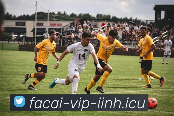 华体会体育平台生态图